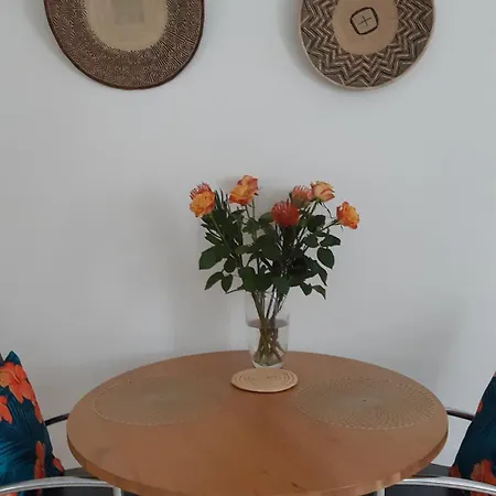 Apartment Roselle
